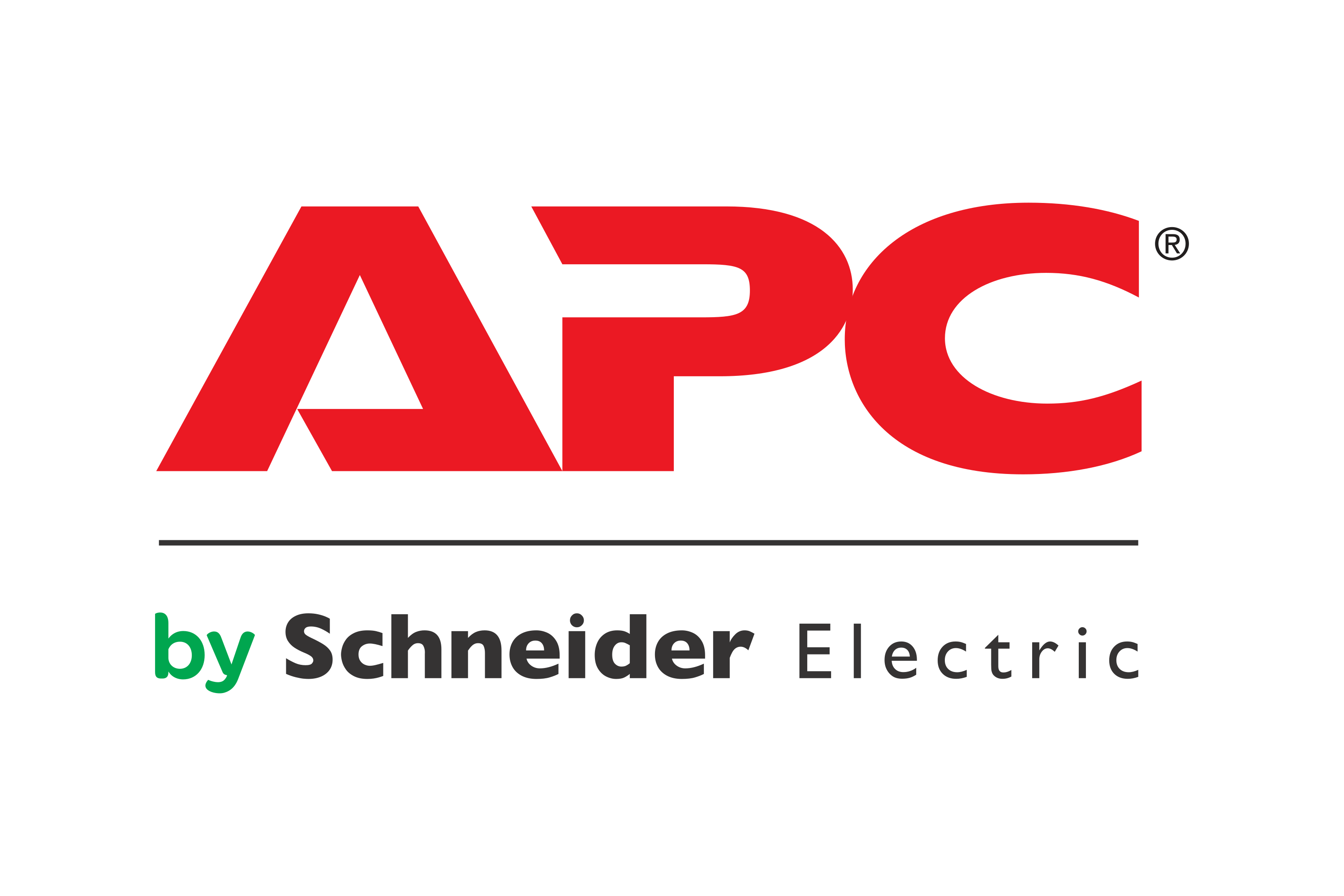 APC_by_Schneider_Electric-Logo.wine